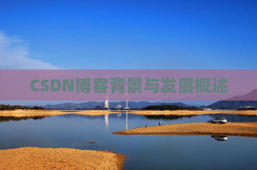 CSDN博客背景与发展概述